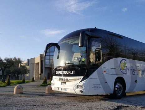 servizi noleggio minibus la flotta iveco